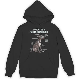 Anatomy Of A Italian Greyhound Hoodie - Thegiftio UK