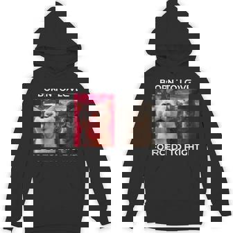 Born To Love Forced To Fight Cute Vs Tough Mood Unisex Hoodie | Mazezy