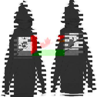 Canada Canadians India Indian Mixed DNA Flag Day Unisex Hoodie | Mazezy
