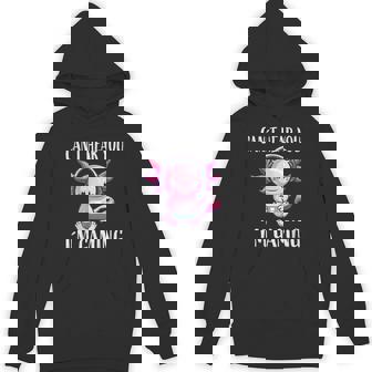 Can`t Hear You I`m Gaming Axolotl Gamer Unisex Hoodie | Mazezy