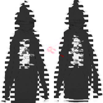 Cool Frog Violin Graphic For Music And Animal Fans Unisex Hoodie | Mazezy