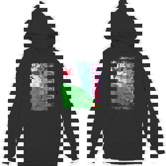 DJIBOUTI Flag Vintage Distressed DJIBOUTI Unisex Hoodie | Mazezy