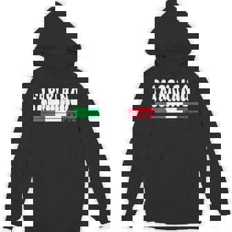 FABRIANO City Italia Vintage Italy Flag For Travel Lovers Unisex Hoodie | Mazezy