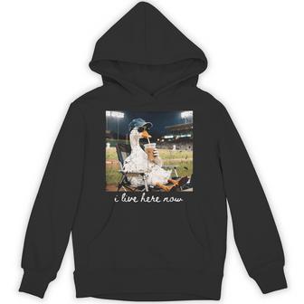 Goose Ballfield Baseball Field I Live Here Now Hoodie - Thegiftio UK
