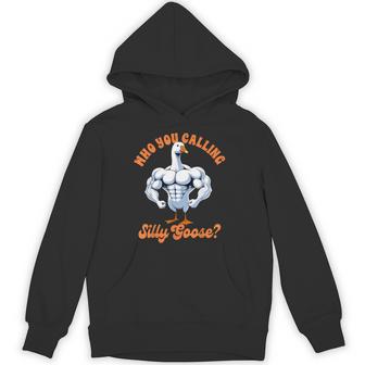 Humor Weightlifting Lover Exercise Fitness Workout Gym Pump Cover Who You Calling Silly Goose Hoodie | Mazezy