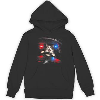 Police Cat Driving Car Vintage Cat Meme Hoodie - Monsterry