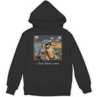 Raccoon Ballfield Baseball Field I Live Here Now Hoodie - Monsterry