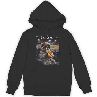 Raccoon Ballfield Hot-Dog Baseball I Live Here Now Hoodie - Thegiftio UK