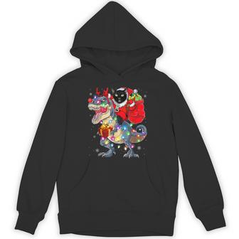 Santa Cat Riding Dinosaur Xmas Lights Hoodie - Thegiftio UK