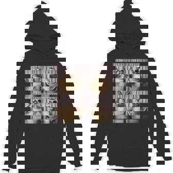 Sea Lion Seal Animal Ocean For Seal Lovers Hoodie | Mazezy