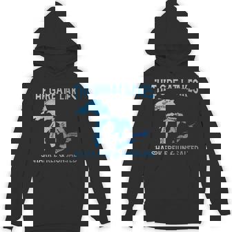The Great Lakes Shark Free & Unsalted Michigan Hoodie - Monsterry