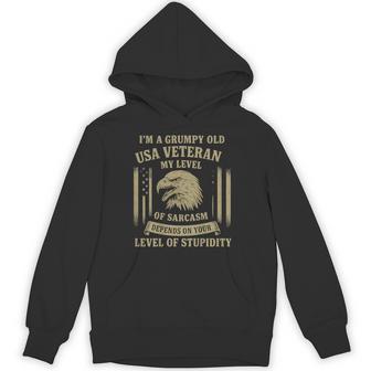 Grumpy Old Usa Veteran Hoodie | Mazezy