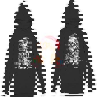 Homeless Dog Christmas Holiday Cheer For Animal Lovers Hoodie | Mazezy