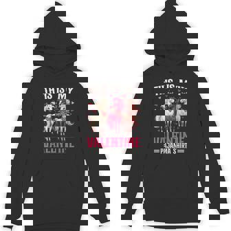Horse Valentine Cute Animal This Is My Valentine Pajama Unisex Hoodie | Mazezy