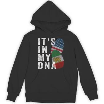 Iran Lion Sun FlagIran FlagUsa FlagIt's In My Dna Hoodie | Mazezy