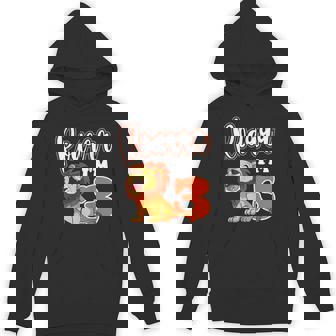 Lion 3rd Birthday Roar Party Safari Jungle Zoo Adventure Unisex Hoodie | Mazezy