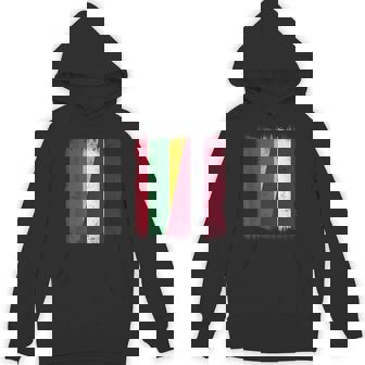 Lithuania Latvia Half Flag Lithuanian Latvian Heritage Unisex Hoodie | Mazezy