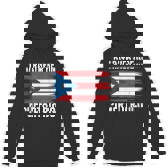 Puerto Rico Pride Apparel Latin Heritage Roots Unisex Hoodie | Mazezy
