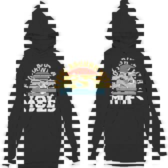 RC Airplane RC Plane I Fool Around With Models Unisex Hoodie | Mazezy