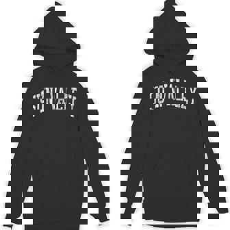 Sun Valley ID J02 Vintage Athletic Sports Unisex Hoodie | Mazezy