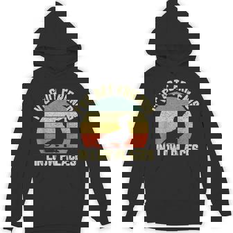 Vintage Dachshund Weiner Dog Friends In Low Places Hoodie - Thegiftio