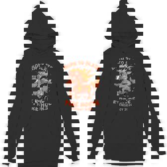 Year Of The Horse 2026 Chinese Zodiac Fire Horse Unisex Hoodie | Mazezy