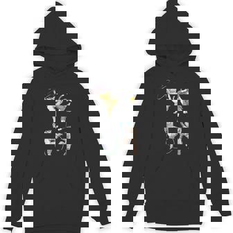 おもしろ新体操猫 パーカー - Kawaiitshirt