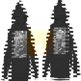 アンティーク調のドールフェイスミーム 長袖tシャツ パーカー - Kawaiitshirt