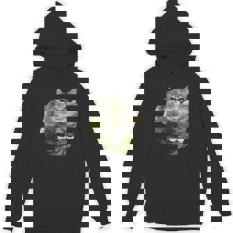 スイカ猫ミーム パーカー - Kawaiitshirt