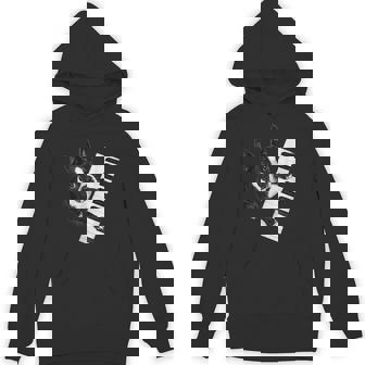 ボストンテリア ピアノ ピアニスト 犬好き パーカー - Kawaiitshirt