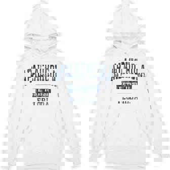 Apalachicola Florida FL Vintage Sports Established Unisex Hoodie | Mazezy