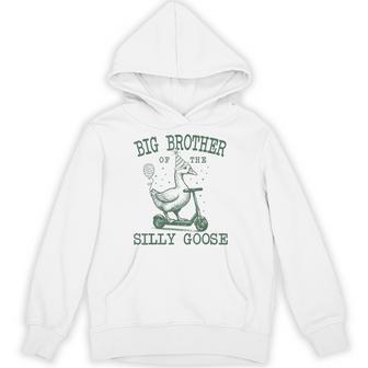 Big Brother Of The Silly Goose First Birthday Family Hoodie - Monsterry