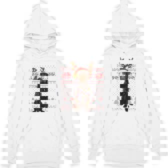 Christmas Dog With Hat And Lights Holiday Labrador Tri-Blend Hoodie | Mazezy