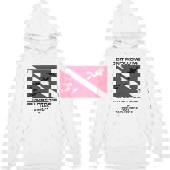 Fiji Viti Levu Scuba Diver Down Flag Scuba Diving Tank Top Unisex Hoodie | Mazezy