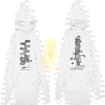 Cat Christmas Litter’S Full Cat Hoodie | Mazezy