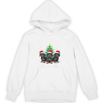 Dachshund Through The Snow Christmas Light Dog Lovers Hoodie | Seseable UK