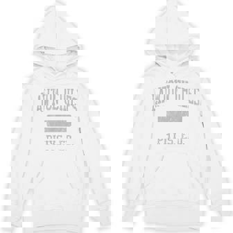 Lawton Chiles High School HS Tallahassee FL PHYS Ed Unisex Hoodie | Mazezy