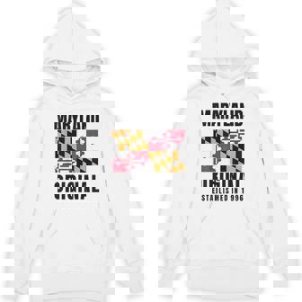 Maryland Original 1996 Md State Flag Unisex Hoodie | Mazezy
