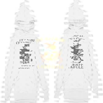 Off To Cause A Kerfuffle Frog Witch Bicycle Forest Ride Unisex Hoodie | Mazezy