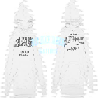Palm Beach Gardens High School HS Palm Beach Gardens FL Vint Unisex Hoodie | Mazezy