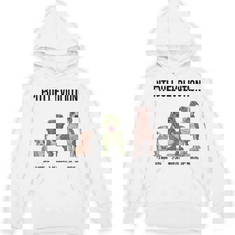 Pitbull Evolution 3 Months 36 Months Unisex Hoodie | Mazezy