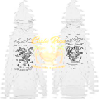 Summer Vibes Beach Vacay Costa Rica A Stress Less Sloth More Unisex Hoodie | Mazezy