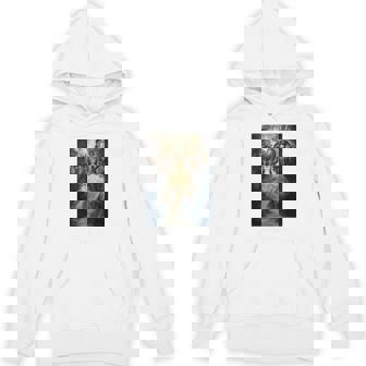 【公式】Final Fantasy アニバーサリーコレクション Ffxii Tza パッケージアート① パーカー - Kawaiitshirt