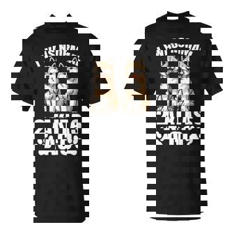 2 秋田犬前は普通だった 面白い秋田犬愛好家 長袖tシャツ Tシャツ - Kawaiitshirt