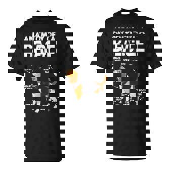 Anatomy Of A Beagle ファニービーグル Tシャツ - Kawaiitshirt