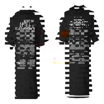 Cat Geometry Math Cat Tee For Cat Dad & Kids T-Shirt | Mazezy