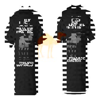 Dromedary For Men Women Camel Dromedary Lover T-Shirt | Mazezy