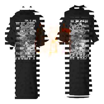 I Eat Drywall Cat Meme Bootleg Women T-Shirt | Seseable CA