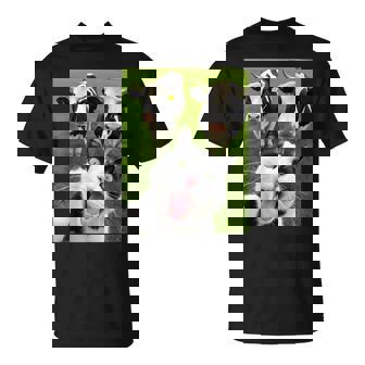 Black And White Cat Cow Selfie T-Shirt - Thegiftio