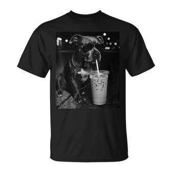 Pitbull Drinking Iced Coffee T-Shirt - Monsterry
